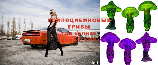 2c-b Белокуриха
